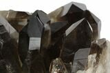Dark Smoky Quartz Crystal Cluster - Brazil #84835-2